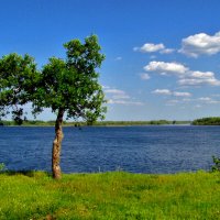 Одна стою на берегу. :: Анатолий Уткин