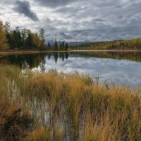 Такое разное Киделю :: Марина Фомина.