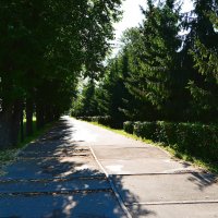 Чебоксары. Елово-липовая аллея этно-комплекса "Амазония" летом. :: Пётр Чернега Чебоксары. Елово-липовая аллея этно-комплекса "Амазония" летом. :: Пётр Чернега