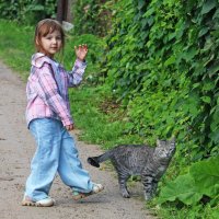 Прогулка с Тигрой :: СЮ 