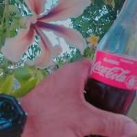 13  ОПЕН (300) :: OPEN WAYS ALL