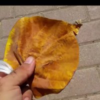 113 (59) :: CLOSE WAYS ALL