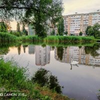 Июльский вечер :: Игорь Сарапулов Июльский вечер :: Игорь Сарапулов