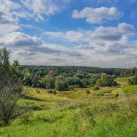 В начале сентября... :: Владимир Жданов В начале сентября... :: Владимир Жданов