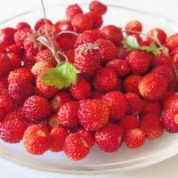 Земляничка :: Валерий 