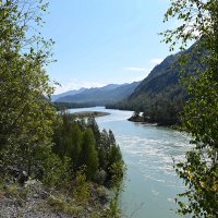 Над Катунью :: Валерий Медведев