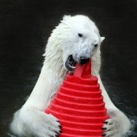 4 сентября :: Михаил Бибичков 4 сентября :: Михаил Бибичков