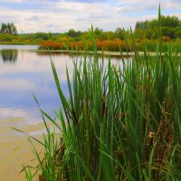 ... :: Владимир иванов ... :: Владимир иванов