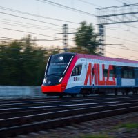 Иволга :: Yaya 