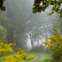 Утро сентября :: liudmila drake Утро сентября :: liudmila drake