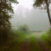 Однажды в прошлом... :: liudmila drake