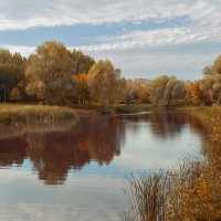 Воронежское озеро :: Виктор Замулин Воронежское озеро :: Виктор Замулин