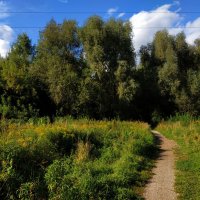 Никак Бабье лето?! :: Андрей Лукьянов