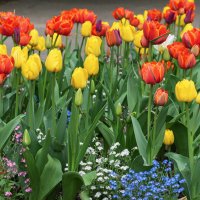 Саксонский сад :: Светлана Ищенко