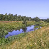 Речка Молокча :: Сергей Цветков