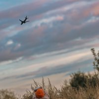 Быстрее ветра :: Евгения Вахнеева