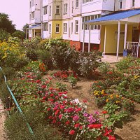 Лето. :: Владимир Драгунский Лето. :: Владимир Драгунский