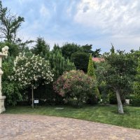 Уголок парка :: Татьяна Михайлова