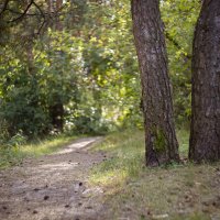 На природе :: Александр Синдерёв
