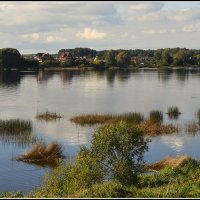 *** :: Aleksandr Gal