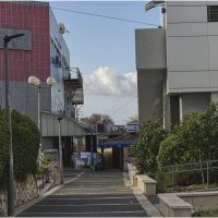 Мигдаль аЭмек 2025г :: ujgcvbif 