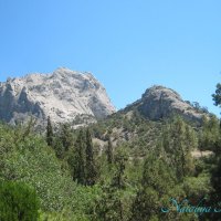 Природа Крыма :: Amazing Cosmea