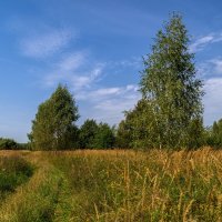 На исходе лета 10 :: Андрей Дворников