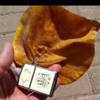 113 (61) :: CLOSE WAYS ALL