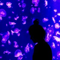 В царстве медуз :: Овсечук Мария 