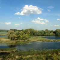 Разлив Волги :: Татьяна Иваненкова