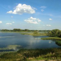 Разлив Волги :: Татьяна Иваненкова