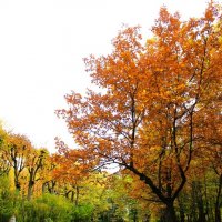 Одинокая скамейка :: Хватова Марина Одинокая скамейка :: Хватова Марина