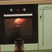 ждет :: Владимир 