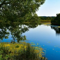 Осенний пейзаж. :: Милешкин Владимир Алексеевич 
