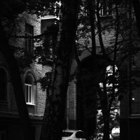 Из тени к свету. :: Василий Палий