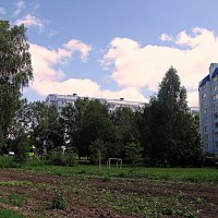 Лето. :: Владимир Драгунский