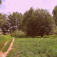 Лето. :: Владимир Драгунский