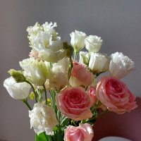 Вторая жизнь цветов :: Максим Егоров