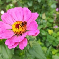 ,,, :: Сергей Тимоновский ,,, :: Сергей Тимоновский