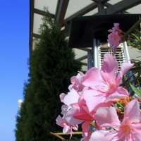 ** :: Oksana Verkhoglyad