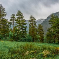 Ущелье реки Чиринкол. :: Аnatoly Gaponenko Ущелье реки Чиринкол. :: Аnatoly Gaponenko