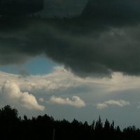 Перед дождем. :: Наталья Лунева Перед дождем. :: Наталья Лунева