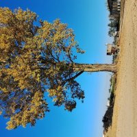 . :: Сергей Асташонок