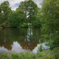 Пейзаж с луговой геранью. :: Лилия *