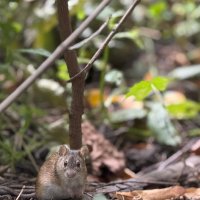 О, привет :: someone somewere