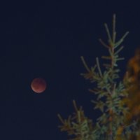 полная Луна в тени Земли :: Сеня Белгородский