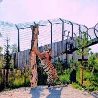 Как живой ) :: Veera V