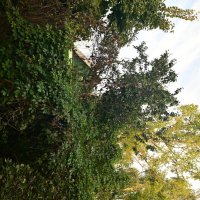 1 :: Константин Сафронов