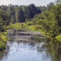 Речка Молокча :: Сергей Цветков Речка Молокча :: Сергей Цветков