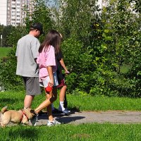 На прогулку ! :: Анатолий Колосов